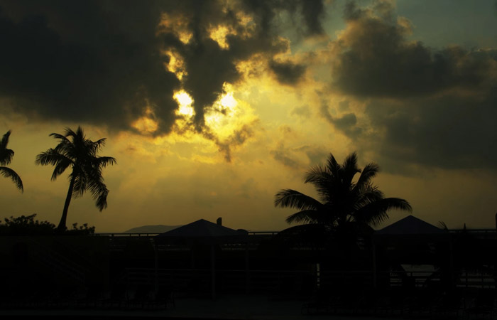 Timelapse – Tropical Clouds/Palm Trees