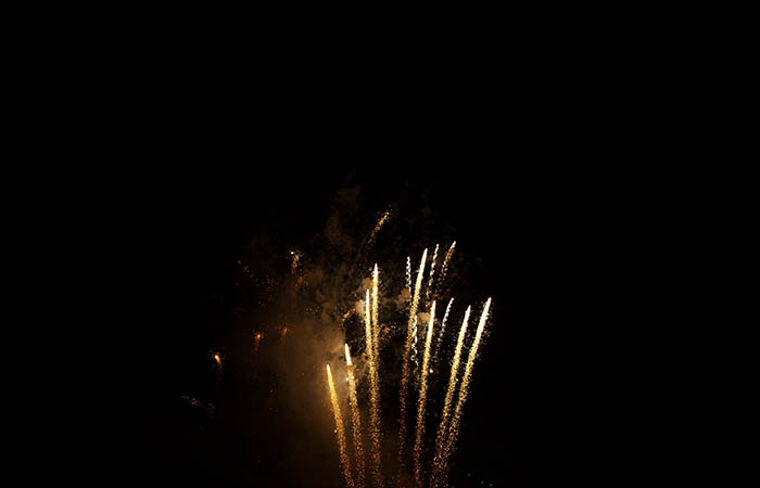 Fireworks 113
